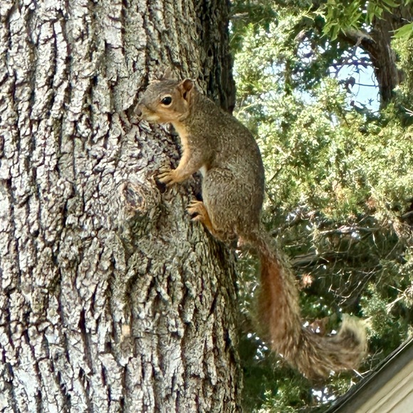 Meet your Posher, Christine - Picture 1 of 1